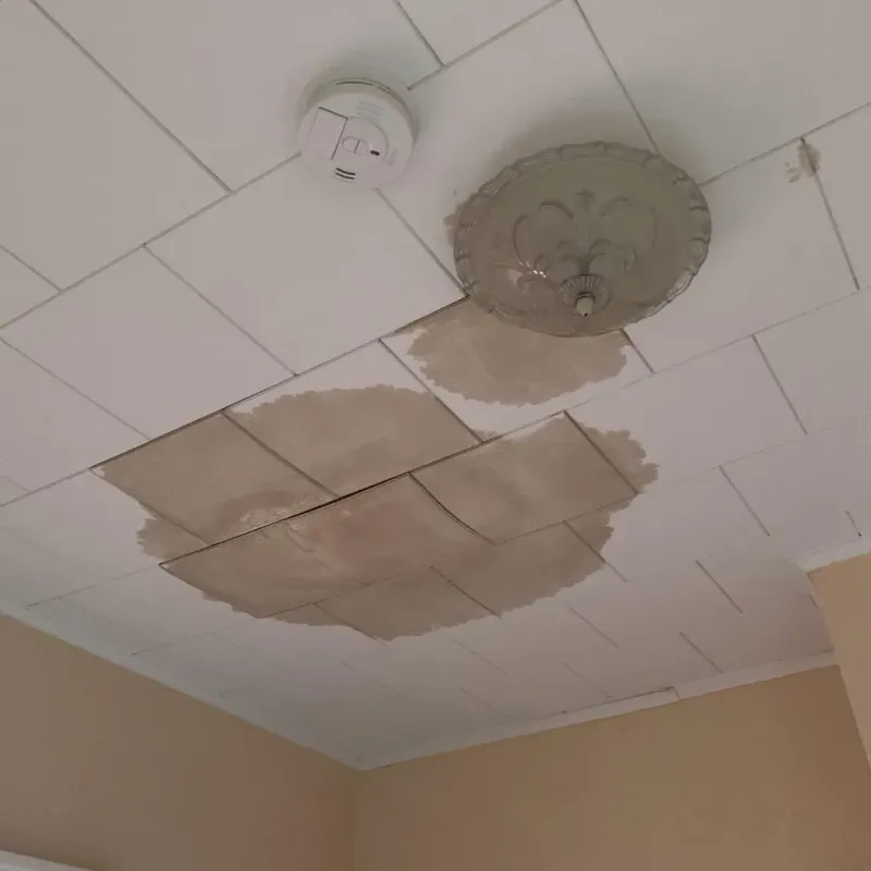 Ceiling Water Damage Repair in Versailles, IN
