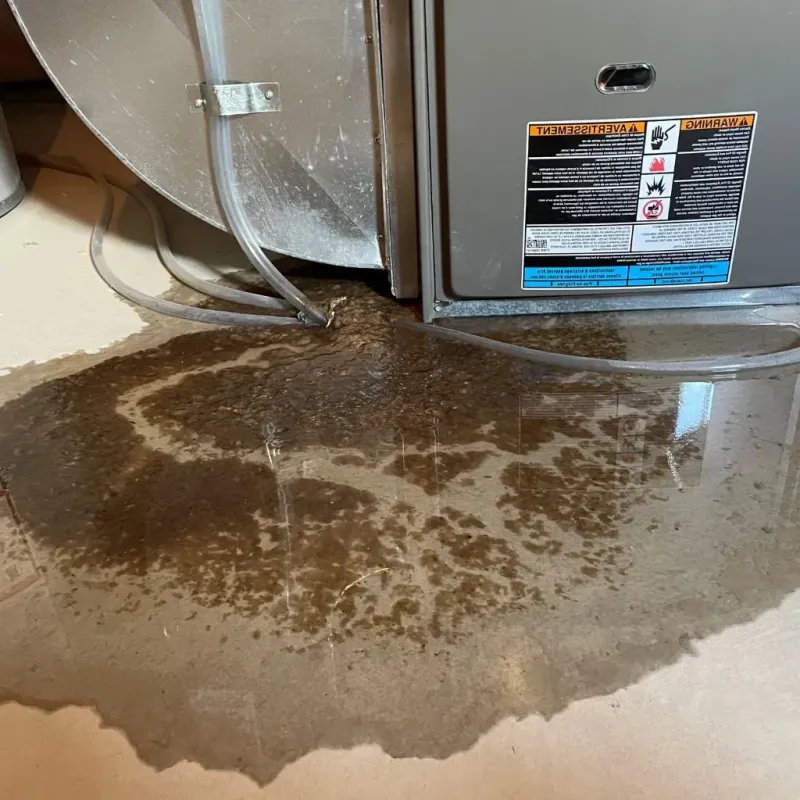 Pipe Burst and Leak Restoration in Versailles, IN