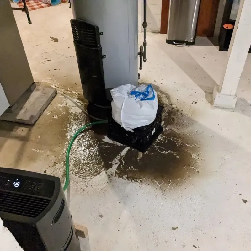Sewage Backup Cleanup Service in Versailles, IN